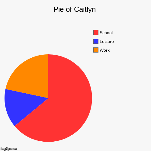 Pie of Caitlyn | Work, Leisure , School | image tagged in funny,pie charts | made w/ Imgflip chart maker