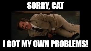 SORRY, CAT I GOT MY OWN PROBLEMS! | made w/ Imgflip meme maker