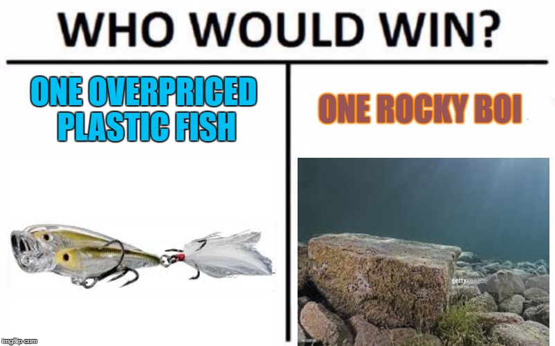 Another for the Fisho's | ONE OVERPRICED PLASTIC FISH; ONE ROCKY BOI | image tagged in memes,who would win,fishing | made w/ Imgflip meme maker