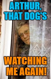 ARTHUR, THAT DOG'S WATCHING ME AGAIN! | made w/ Imgflip meme maker