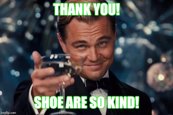 Leonardo Dicaprio Cheers Meme | THANK YOU! SHOE ARE SO KIND! | image tagged in memes,leonardo dicaprio cheers | made w/ Imgflip meme maker