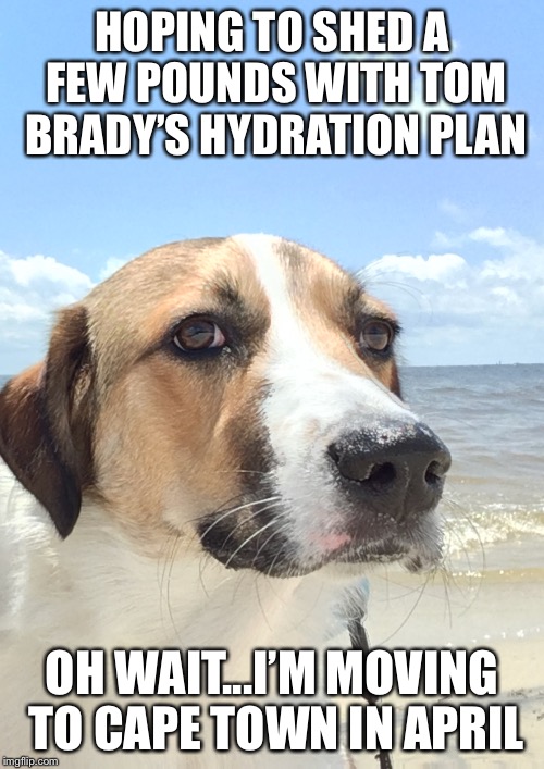 Seriously though, praying “Day Zero” never comes | HOPING TO SHED A FEW POUNDS WITH TOM BRADY’S HYDRATION PLAN; OH WAIT...I’M MOVING TO CAPE TOWN IN APRIL | image tagged in sad realization buddy,memes,funny memes | made w/ Imgflip meme maker