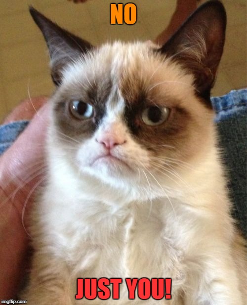 Grumpy Cat Meme | NO JUST YOU! | image tagged in memes,grumpy cat | made w/ Imgflip meme maker