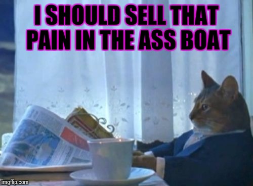 I Should Buy A Boat Cat Meme | I SHOULD SELL THAT PAIN IN THE ASS BOAT | image tagged in memes,i should buy a boat cat | made w/ Imgflip meme maker