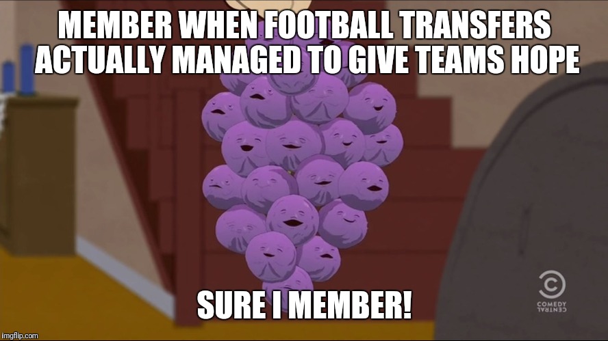 Member Berries Meme | MEMBER WHEN FOOTBALL TRANSFERS ACTUALLY MANAGED TO GIVE TEAMS HOPE; SURE I MEMBER! | image tagged in memes,member berries | made w/ Imgflip meme maker