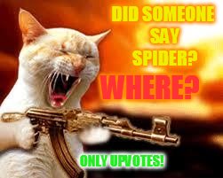 DID SOMEONE SAY SPIDER? ONLY UPVOTES! WHERE? | made w/ Imgflip meme maker