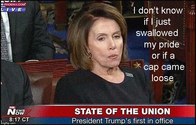 The State of the Union in one Pic | image tagged in state of the union,nancy pelosi,politics lol,funny memes,liberalism is a mental disorder,current events | made w/ Imgflip meme maker