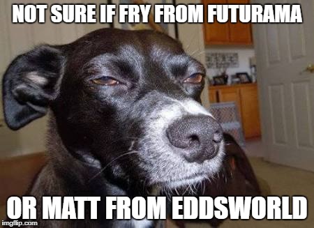 Not sure dog | NOT SURE IF FRY FROM FUTURAMA; OR MATT FROM EDDSWORLD | image tagged in not sure dog | made w/ Imgflip meme maker