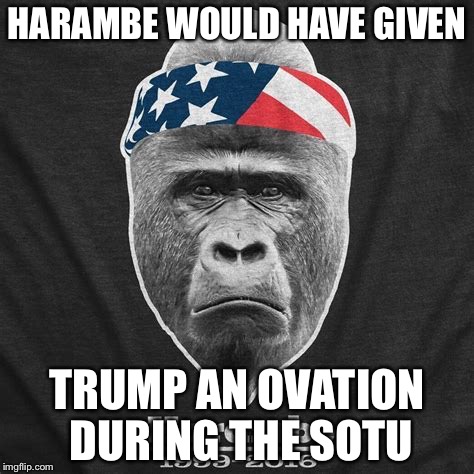 HARAMBE WOULD HAVE GIVEN; TRUMP AN OVATION DURING THE SOTU | image tagged in harambe sotu | made w/ Imgflip meme maker