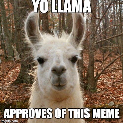 yo llama | YO LLAMA APPROVES OF THIS MEME | image tagged in yo llama | made w/ Imgflip meme maker