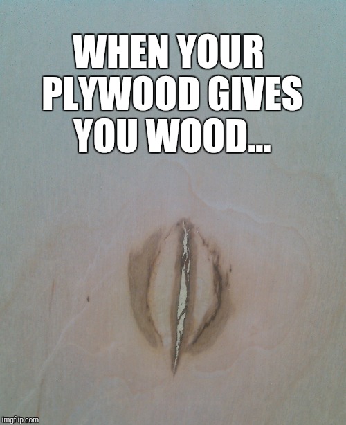 Talk about a naughty knot! This was on a piece of plywood I was working with yesterday lol | WHEN YOUR PLYWOOD GIVES YOU WOOD... | image tagged in jbmemegeek,too funny,wood week,weird photo of the day | made w/ Imgflip meme maker