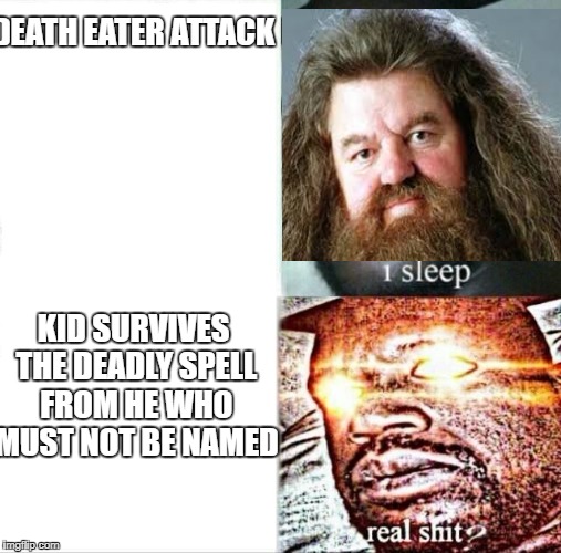 Sleeping Shaq Meme | DEATH EATER ATTACK; KID SURVIVES THE DEADLY SPELL FROM HE WHO MUST NOT BE NAMED | image tagged in sleeping shaq | made w/ Imgflip meme maker