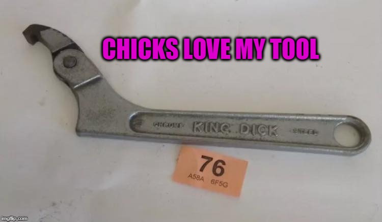 King Dick Tools | CHICKS LOVE MY TOOL | image tagged in tools,dick pic | made w/ Imgflip meme maker