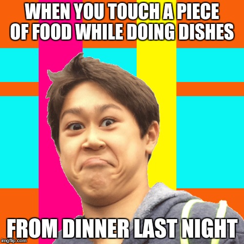 WHEN YOU TOUCH A PIECE OF FOOD WHILE DOING DISHES; FROM DINNER LAST NIGHT | image tagged in grossed out face | made w/ Imgflip meme maker
