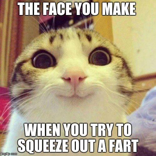 Smiling Cat | THE FACE YOU MAKE; WHEN YOU TRY TO SQUEEZE OUT A FART | image tagged in memes,smiling cat | made w/ Imgflip meme maker