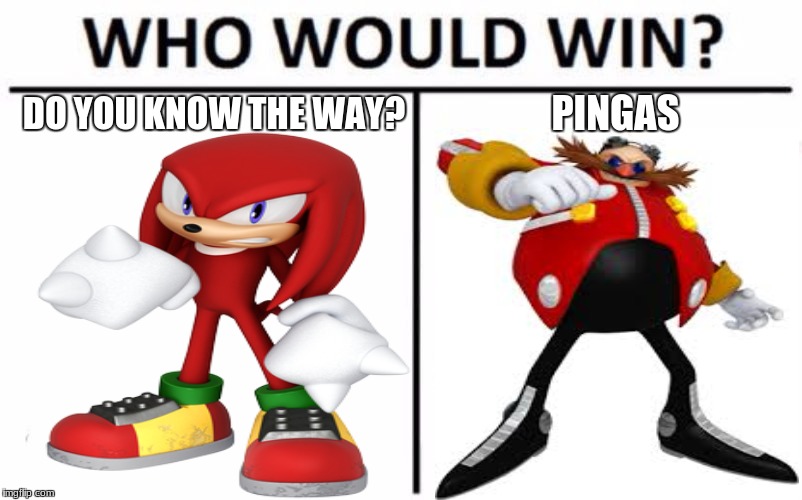Comment who YOU think would win! | DO YOU KNOW THE WAY? PINGAS | image tagged in who would win,sonic | made w/ Imgflip meme maker