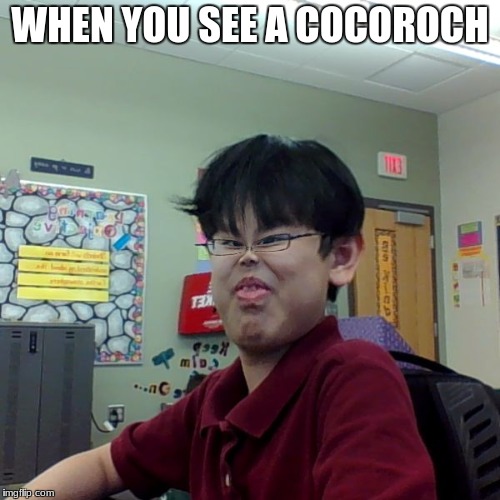 young wofwof | WHEN YOU SEE A COCOROCH | image tagged in memes,funny | made w/ Imgflip meme maker