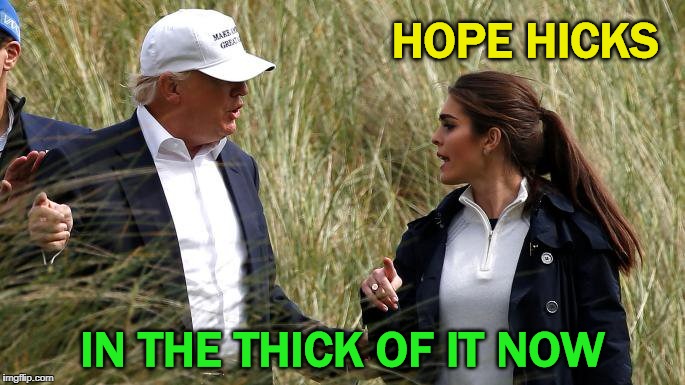 Obstructionist Hope Hicks | HOPE HICKS; IN THE THICK OF IT NOW | image tagged in trump,hope hicks,obstruction,obstruction of justice | made w/ Imgflip meme maker