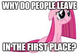 Pinkie Pie very sad | WHY DO PEOPLE LEAVE IN THE FIRST PLACE? | image tagged in pinkie pie very sad | made w/ Imgflip meme maker