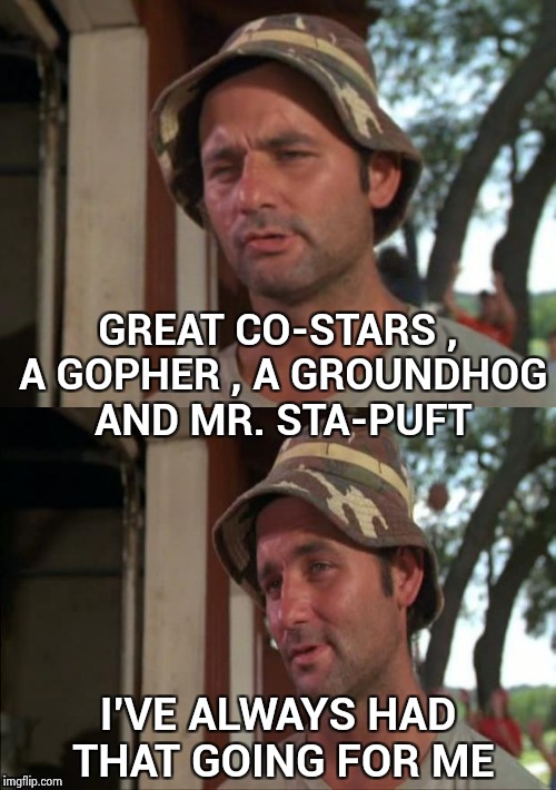Let's not forget Sigourney Weaver |  GREAT CO-STARS , A GOPHER , A GROUNDHOG AND MR. STA-PUFT; I'VE ALWAYS HAD THAT GOING FOR ME | image tagged in bill murray bad joke,classic movies,too funny,caddyshack,groundhog day,ghostbusters | made w/ Imgflip meme maker