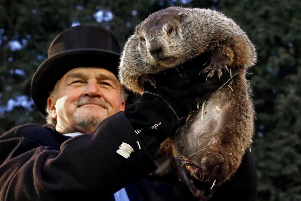 Groundhog Blank Meme Template