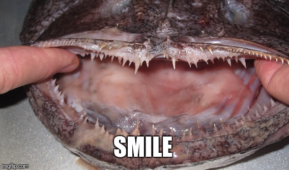 Smile | SMILE | image tagged in happy,smile,yay,cute,fish,keep calm | made w/ Imgflip meme maker