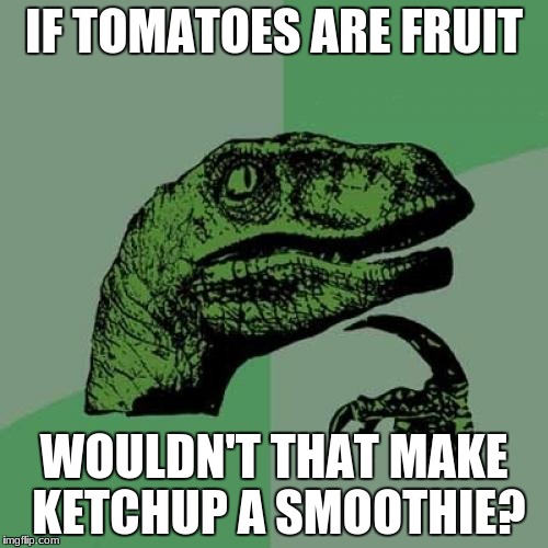 Philosoraptor Meme | IF TOMATOES ARE FRUIT; WOULDN'T THAT MAKE KETCHUP A SMOOTHIE? | image tagged in memes,philosoraptor | made w/ Imgflip meme maker