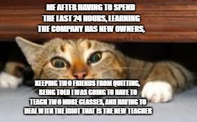 stressed cat | ME AFTER HAVING TO SPEND THE LAST 24 HOURS, LEARNING THE COMPANY HAS NEW OWNERS, KEEPING TWO FRIENDS FROM QUITTING, BEING TOLD I WAS GOING TO HAVE TO TEACH TWO MORE CLASSES, AND HAVING TO DEAL WITH THE IDIOT THAT IS THE NEW TEACHER | image tagged in new job,kitty,cat,quitting | made w/ Imgflip meme maker