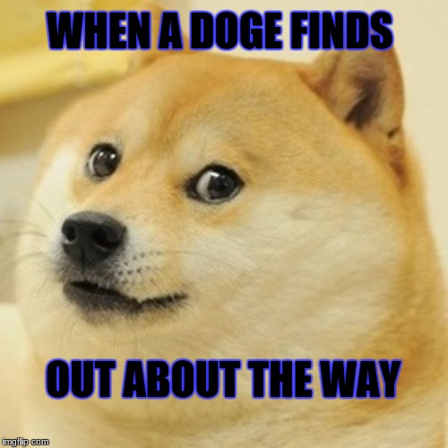 Doge | WHEN A DOGE FINDS; OUT ABOUT THE WAY | image tagged in memes,doge | made w/ Imgflip meme maker