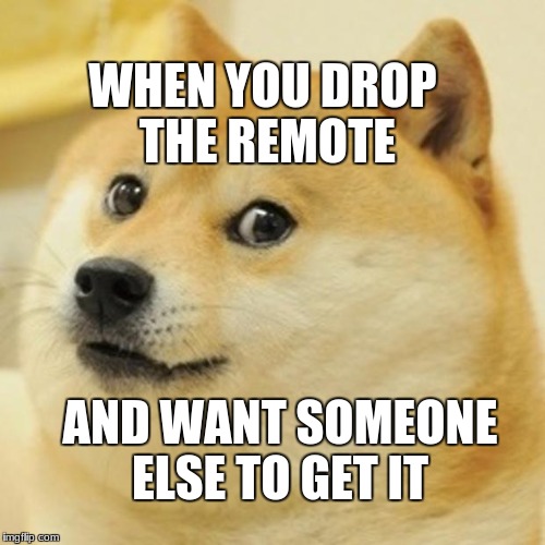 Doge Meme | WHEN YOU DROP THE REMOTE; AND WANT SOMEONE ELSE TO GET IT | image tagged in memes,doge | made w/ Imgflip meme maker