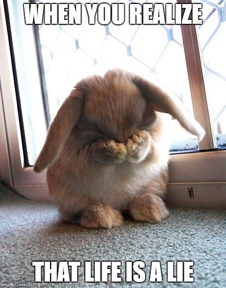 embarrassed bunny | WHEN YOU REALIZE; THAT LIFE IS A LIE | image tagged in embarrassed bunny | made w/ Imgflip meme maker