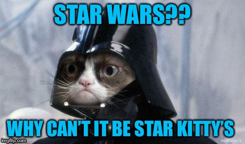 Grumpy Cat Star Wars Meme | STAR WARS?? WHY CAN’T IT BE STAR KITTY’S | image tagged in memes,grumpy cat star wars,grumpy cat | made w/ Imgflip meme maker