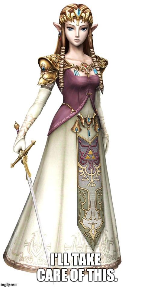 Princess Zelda | I'LL TAKE CARE OF THIS. | image tagged in princess zelda | made w/ Imgflip meme maker