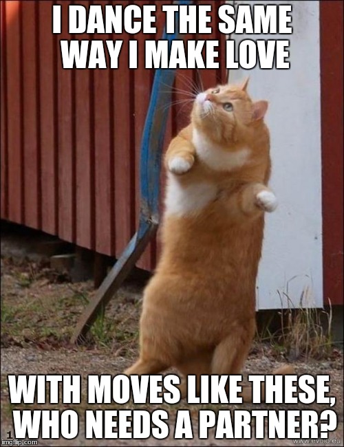 "And if I had the chance, I'd ask the world to dance" | I DANCE THE SAME WAY I MAKE LOVE; WITH MOVES LIKE THESE, WHO NEEDS A PARTNER? | image tagged in dancing cat,funny,memes,forever alone,masterbation | made w/ Imgflip meme maker