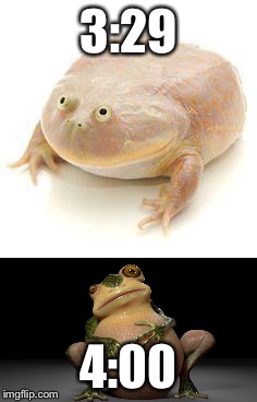 Fat frog | 3:29; 4:00 | image tagged in frog,fat,memes | made w/ Imgflip meme maker