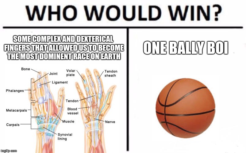i hate dis though | SOME COMPLEX AND DEXTERICAL FINGERS THAT ALLOWED US TO BECOME THE MOST DOMINENT RACE ON EARTH; ONE BALLY BOI | image tagged in memes,who would win | made w/ Imgflip meme maker
