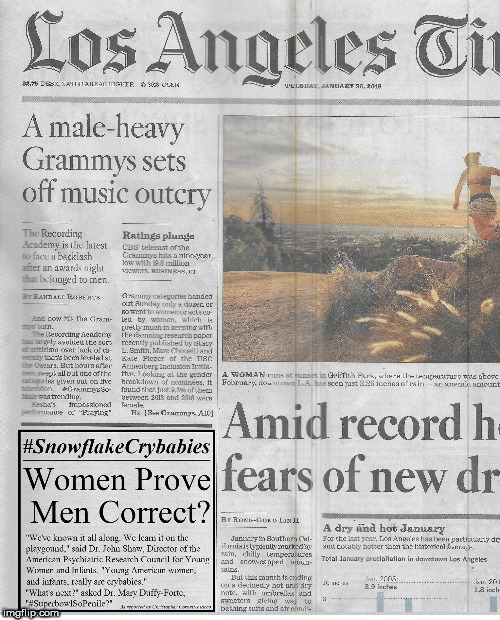 #SnowflakeCrybabies Grammys | image tagged in snowflake,grammys | made w/ Imgflip meme maker