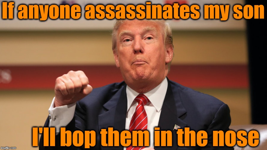 If anyone assassinates my son I'll bop them in the nose | made w/ Imgflip meme maker