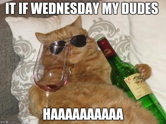 Funny Cat Birthday | IT IF WEDNESDAY MY DUDES; HAAAAAAAAAA | image tagged in funny cat birthday | made w/ Imgflip meme maker