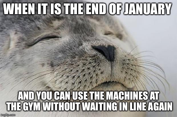 Satisfied Seal Meme | WHEN IT IS THE END OF JANUARY; AND YOU CAN USE THE MACHINES AT THE GYM WITHOUT WAITING IN LINE AGAIN | image tagged in memes,satisfied seal | made w/ Imgflip meme maker