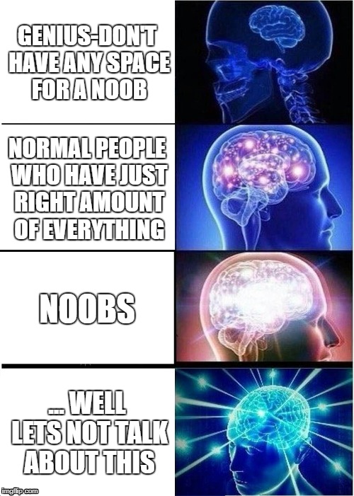Expanding Brain | GENIUS-DON'T HAVE ANY SPACE FOR A NOOB; NORMAL PEOPLE WHO HAVE JUST RIGHT AMOUNT OF EVERYTHING; NOOBS; ... WELL LETS NOT TALK ABOUT THIS | image tagged in memes,expanding brain | made w/ Imgflip meme maker