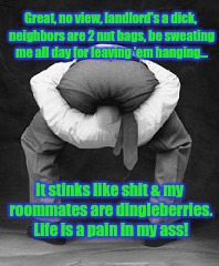 Head up ass | Great, no view, landlord's a dick, neighbors are 2 nut bags, be sweating me all day for leaving 'em hanging... It stinks like shit & my roommates are dingleberries. Life is a pain in my ass! | image tagged in head up ass | made w/ Imgflip meme maker