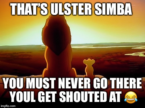 Lion King Meme | THAT’S ULSTER SIMBA; YOU MUST NEVER GO THERE YOUL GET SHOUTED AT 😂 | image tagged in memes,lion king | made w/ Imgflip meme maker