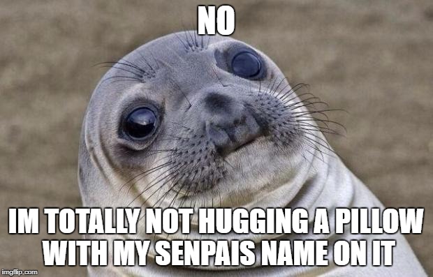 Awkward Moment Sealion Meme | NO; IM TOTALLY NOT HUGGING A PILLOW WITH MY SENPAIS NAME ON IT | image tagged in memes,awkward moment sealion | made w/ Imgflip meme maker