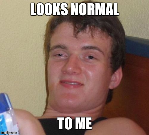 10 Guy Meme | LOOKS NORMAL TO ME | image tagged in memes,10 guy | made w/ Imgflip meme maker