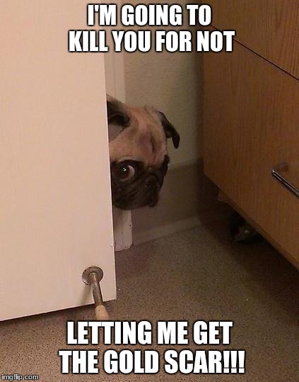Guilty Pug | I'M GOING TO KILL YOU FOR NOT; LETTING ME GET THE GOLD SCAR!!! | image tagged in guilty pug | made w/ Imgflip meme maker