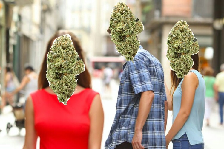 High Quality Weed distracted bf gf Meme Blank Meme Template