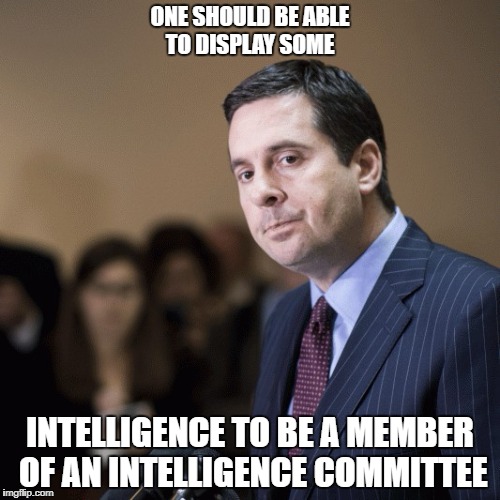 ONE SHOULD BE ABLE TO DISPLAY SOME; INTELLIGENCE TO BE A MEMBER OF AN INTELLIGENCE COMMITTEE | image tagged in nunes | made w/ Imgflip meme maker