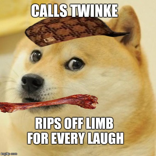 Doge Meme | CALLS TWINKE; RIPS OFF LIMB FOR EVERY LAUGH | image tagged in memes,doge,scumbag | made w/ Imgflip meme maker