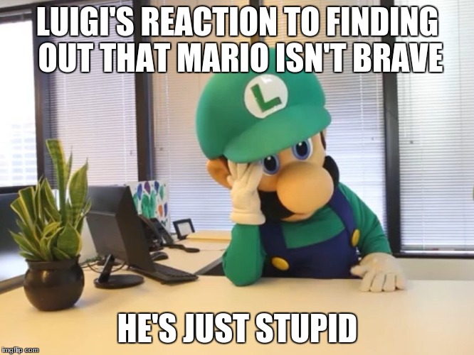 Luigi  | LUIGI'S REACTION TO FINDING OUT THAT MARIO ISN'T BRAVE; HE'S JUST STUPID | image tagged in luigi | made w/ Imgflip meme maker
